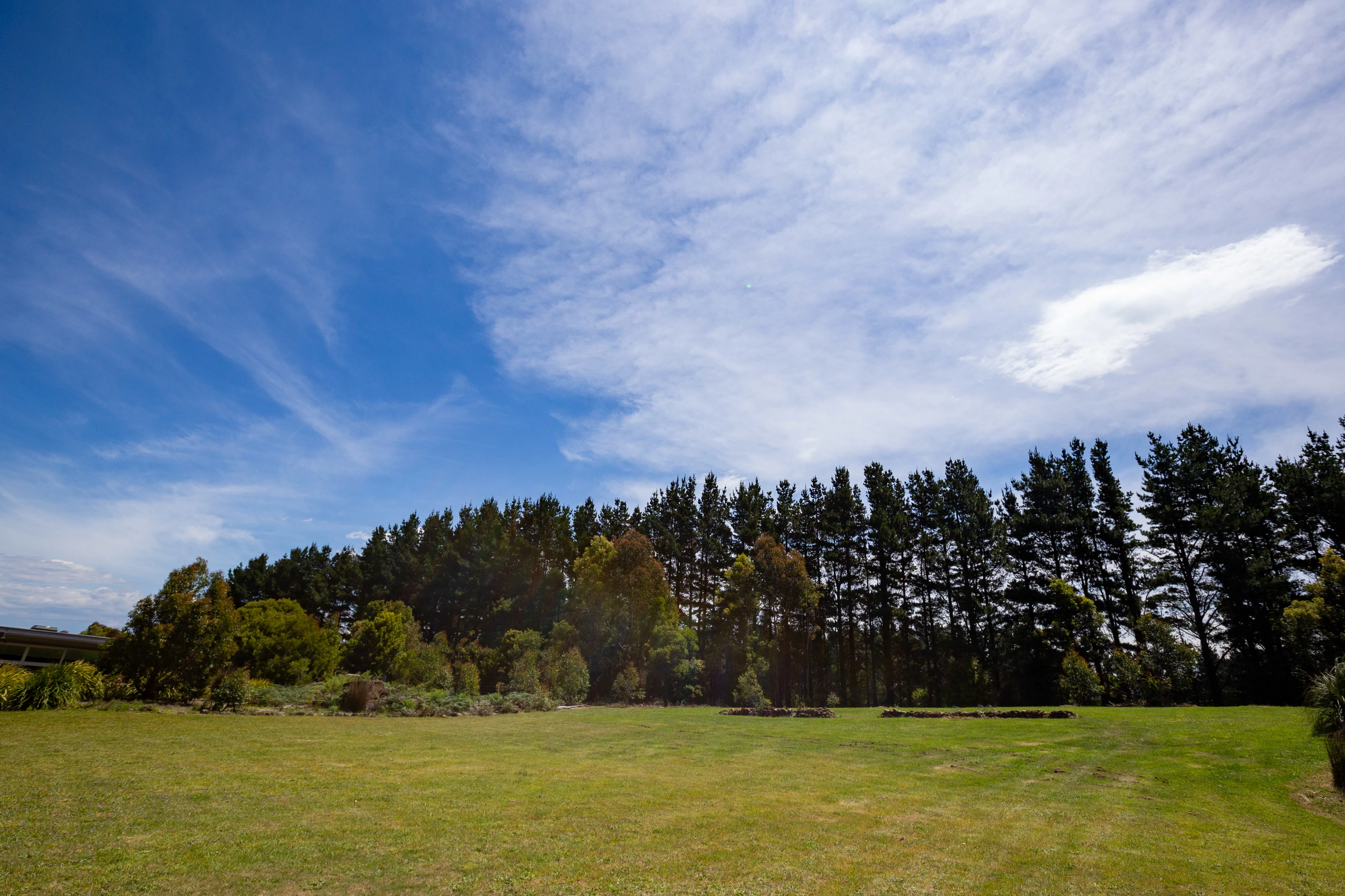 Treetop Walk at Illawarra Fly 