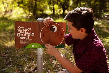 The Gruffalo Trail Images (5)