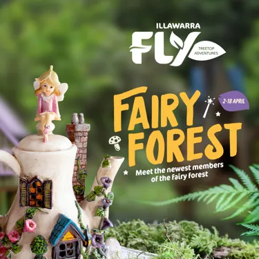 IFLY Fairies Insta 1080X1080px Nocta