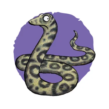 Pasta Snake Website