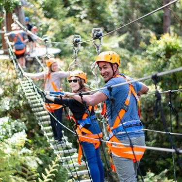 Group on Zipline Tour suspension bridge 