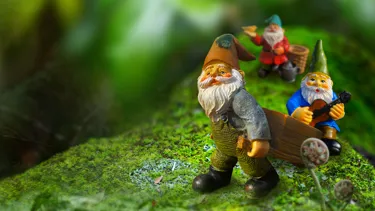 IFLY Gnomemeadow Frontpagehero 1920X1080