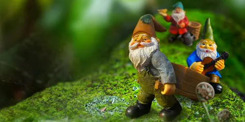 IFLY Gnomemeadow Frontpagehero 1920X1080