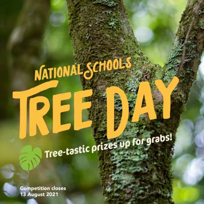 210721EDU Fly Tree Day Website 800X800