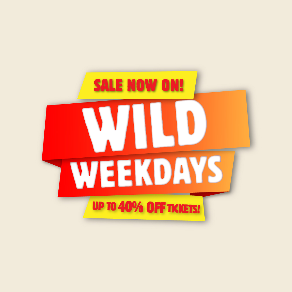 Wild Weekends Online 1 1 Content Block Image WW 1 1 IFLY