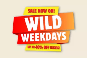 Wild Weekends Online 1 1 Content Block Image WW 1 1 IFLY