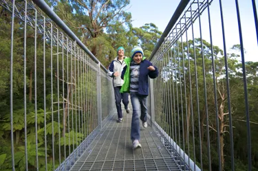 Treetop Walk Winter At IFLY