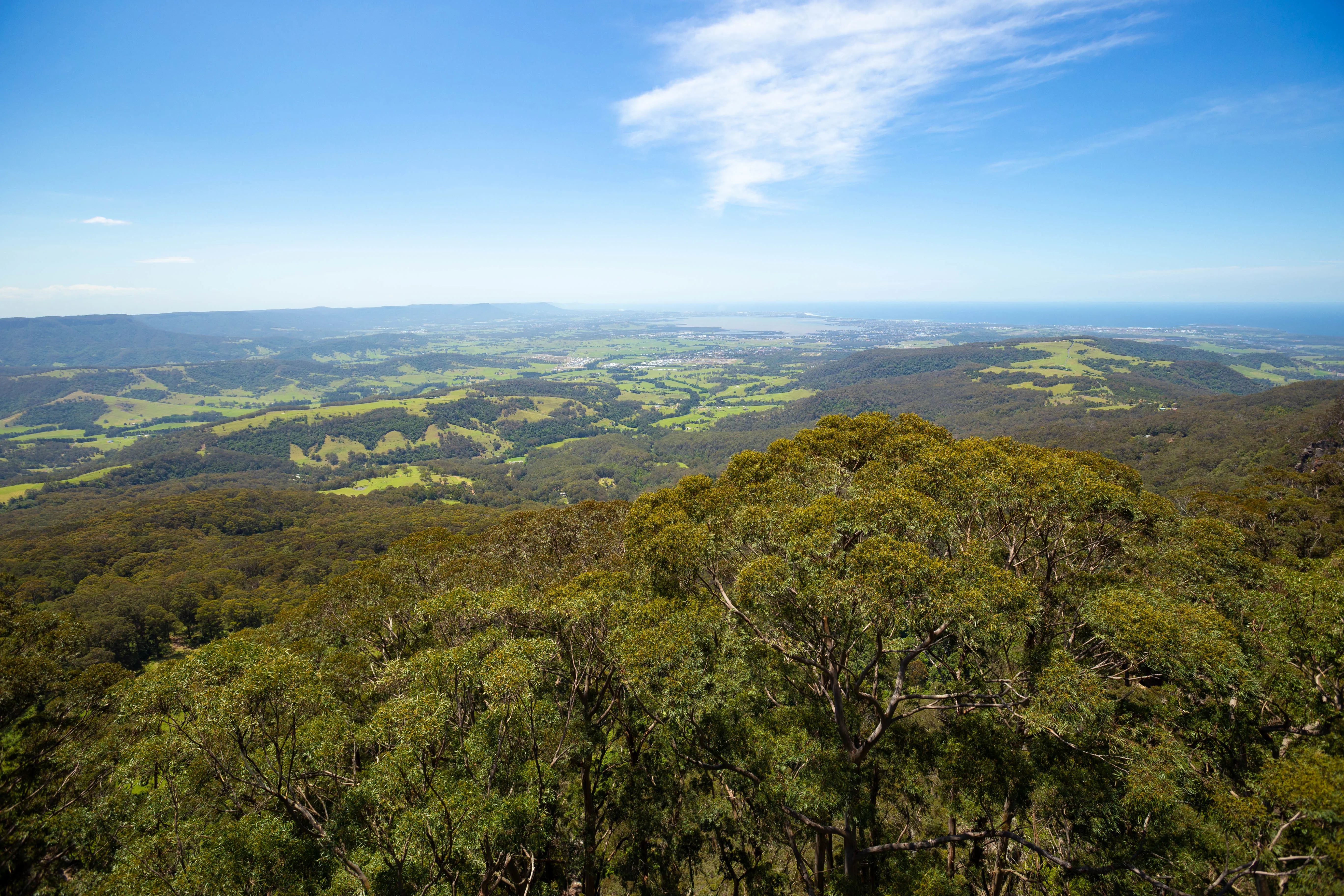 Illawarra Surrounding Regions