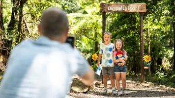 Illawarra Fly Mysteryintherainforest (6)