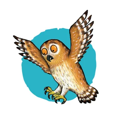 Egg Bx Owl Website