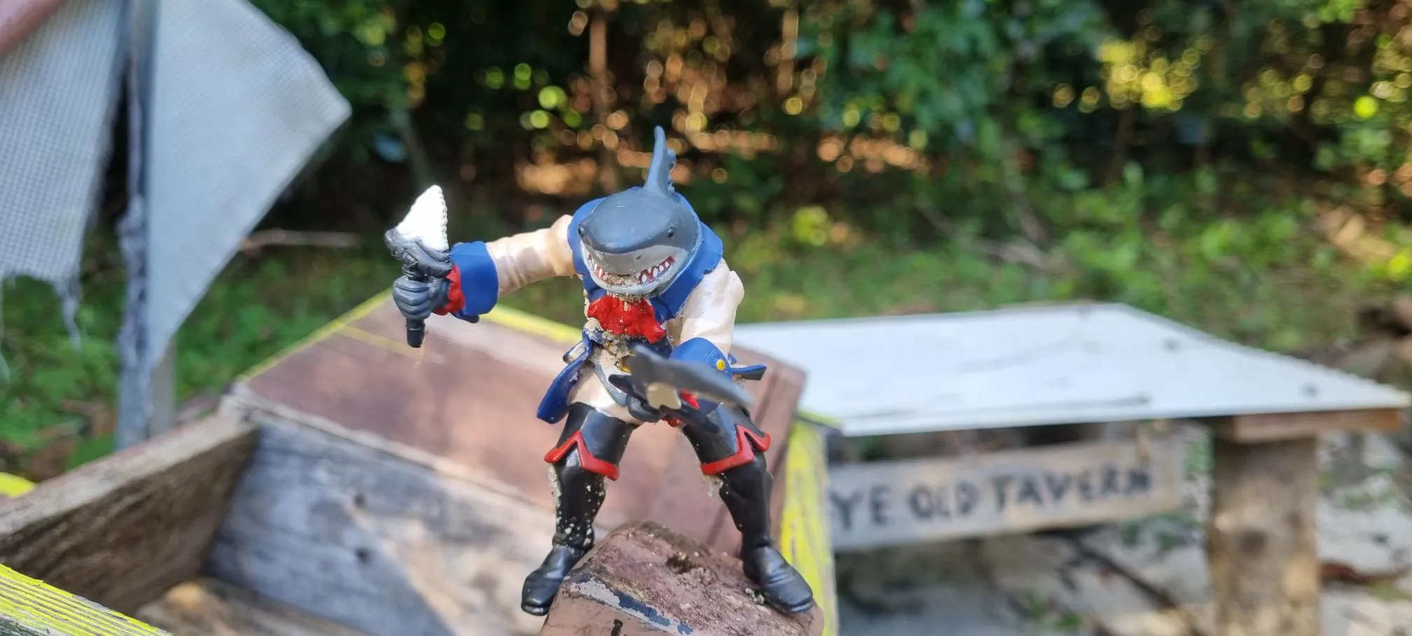 Shark Captain