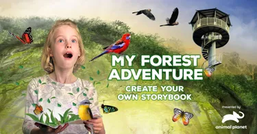 Fly Forest Storybook Fbad 1200X628