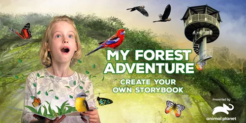 Fly Forest Storybook Fbad 1200X628