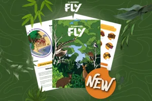 DESIGN YOUR OWN DRAGON MASK (1)