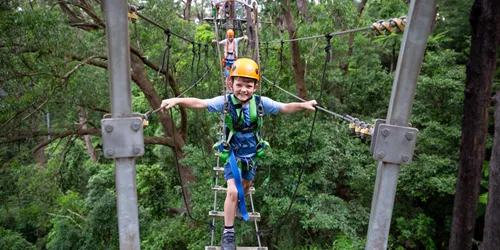 Boy on suspension bridge 