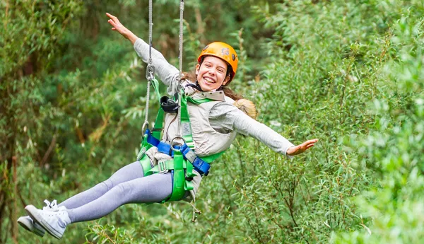 Zipline Banner 1